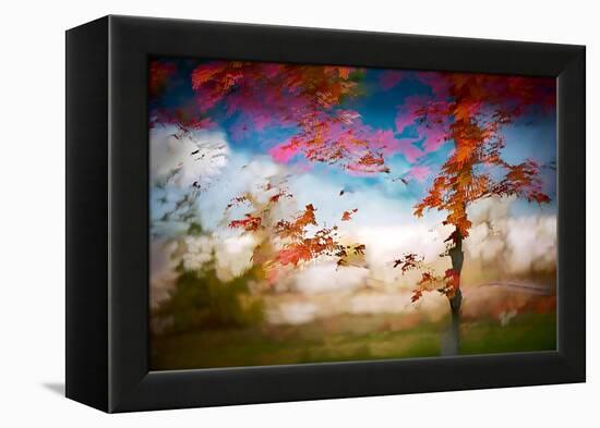 Deconstructed Fall 1-Ursula Abresch-Framed Premier Image Canvas