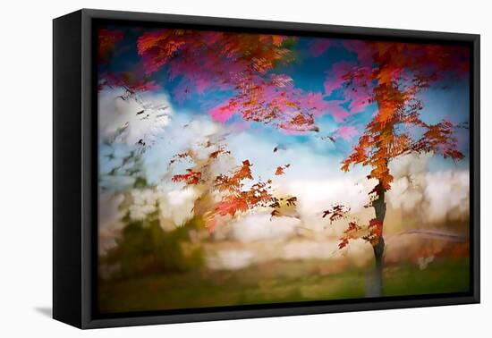 Deconstructed Fall 1-Ursula Abresch-Framed Premier Image Canvas