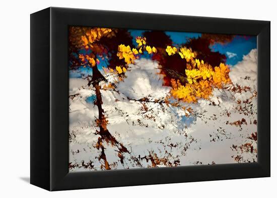 Deconstructed Fall 2-Ursula Abresch-Framed Premier Image Canvas