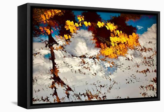 Deconstructed Fall 2-Ursula Abresch-Framed Premier Image Canvas