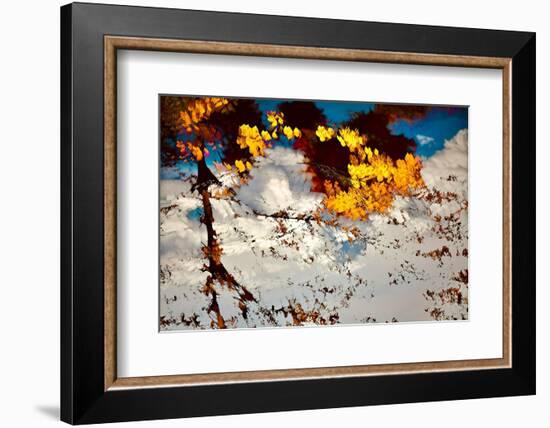 Deconstructed Fall 2-Ursula Abresch-Framed Photographic Print