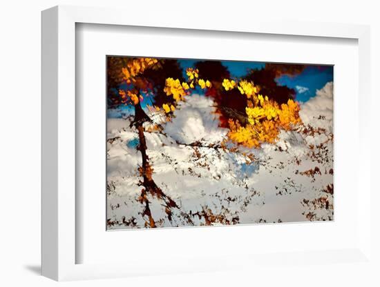 Deconstructed Fall 2-Ursula Abresch-Framed Photographic Print