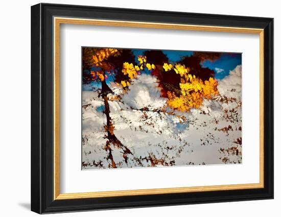 Deconstructed Fall 2-Ursula Abresch-Framed Photographic Print