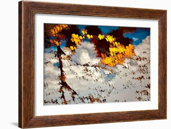 Deconstructed Fall 2-Ursula Abresch-Framed Photographic Print