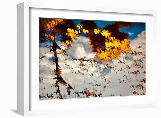 Deconstructed Fall 2-Ursula Abresch-Framed Photographic Print