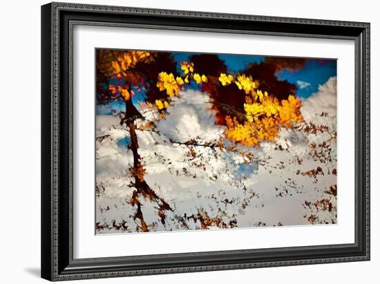 Deconstructed Fall 2-Ursula Abresch-Framed Photographic Print