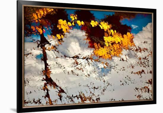 Deconstructed Fall 2-Ursula Abresch-Framed Photographic Print