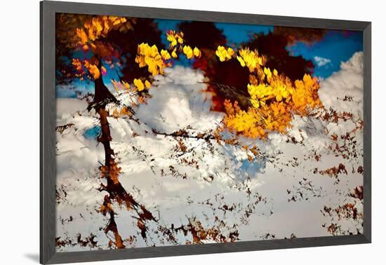 Deconstructed Fall 2-Ursula Abresch-Framed Photographic Print