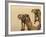 Decorated Camel in the Thar Desert, Jaisalmer, Rajasthan, India-Keren Su-Framed Photographic Print