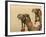 Decorated Camel in the Thar Desert, Jaisalmer, Rajasthan, India-Keren Su-Framed Photographic Print