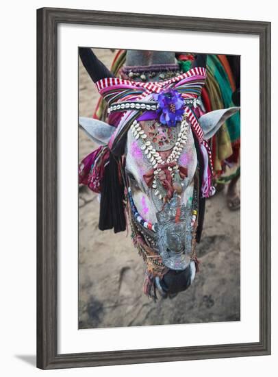 Decorated Cow, Goa, India, Asia-Yadid Levy-Framed Photographic Print