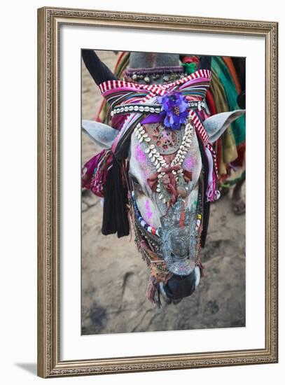 Decorated Cow, Goa, India, Asia-Yadid Levy-Framed Photographic Print