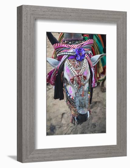 Decorated Cow, Goa, India, Asia-Yadid Levy-Framed Photographic Print