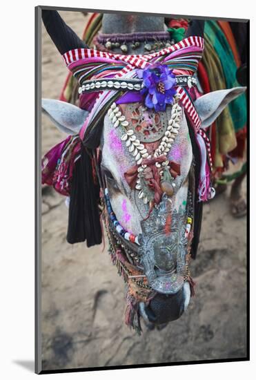 Decorated Cow, Goa, India, Asia-Yadid Levy-Mounted Photographic Print