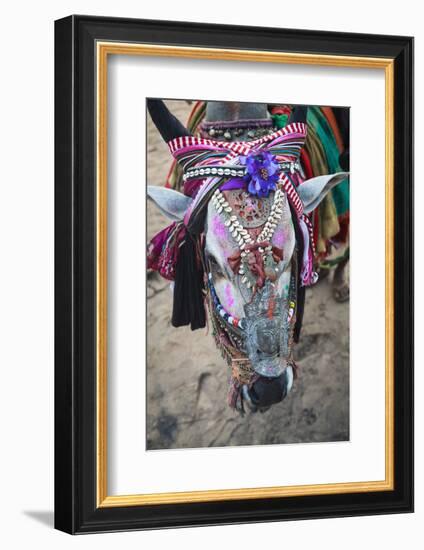 Decorated Cow, Goa, India, Asia-Yadid Levy-Framed Photographic Print