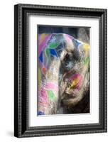 Decorated Elephant, Amber Elephant Sanctuary, Near Jaipur, Rajasthan, India, Asia-Annie Owen-Framed Photographic Print
