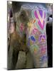 Decorated Elephant at the Amber Fort, Jaipur, Rajasthan State, India-Bruno Morandi-Mounted Photographic Print