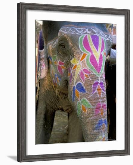 Decorated Elephant at the Amber Fort, Jaipur, Rajasthan State, India-Bruno Morandi-Framed Photographic Print