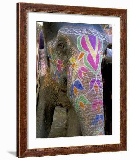 Decorated Elephant at the Amber Fort, Jaipur, Rajasthan State, India-Bruno Morandi-Framed Photographic Print