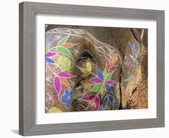 Decorated Elephant, Jaipur, Rajasthan, India, Asia-Bruno Morandi-Framed Photographic Print