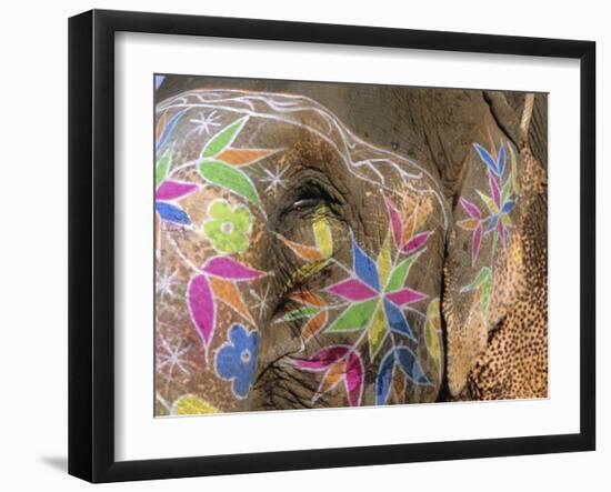 Decorated Elephant, Jaipur, Rajasthan, India, Asia-Bruno Morandi-Framed Photographic Print