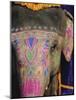 Decorated Elephant, Rajasthan, India-Bruno Morandi-Mounted Photographic Print