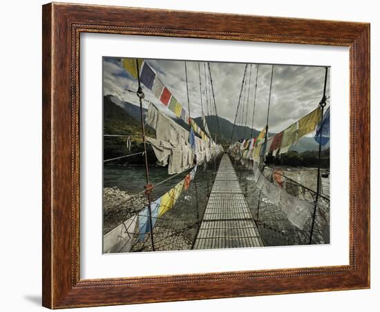 Decorated Pathway-Andrew Geiger-Framed Giclee Print