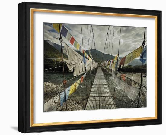 Decorated Pathway-Andrew Geiger-Framed Giclee Print