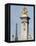 Decorated Pillar of Alexandre Iii Bridge and the Eiffel Tower, Paris, France, Europe-Richard Nebesky-Framed Premier Image Canvas