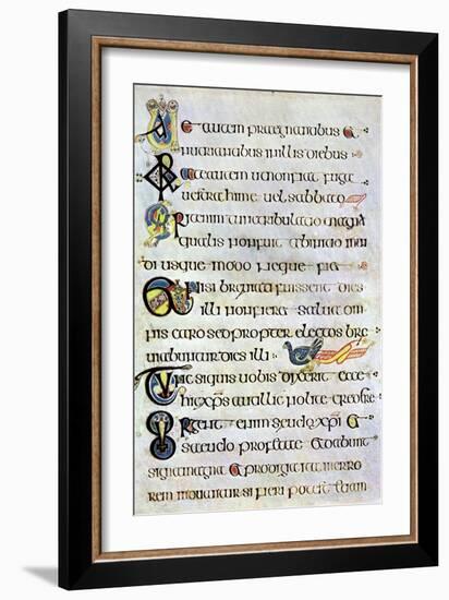 Decorated Text Page, 800 Ad-null-Framed Giclee Print