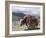 Decorated Yak, Turquoise Lake, Tibet, China-Ethel Davies-Framed Photographic Print