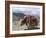 Decorated Yak, Turquoise Lake, Tibet, China-Ethel Davies-Framed Photographic Print