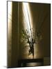 Decoration at the Entrance, Dolly Irigoyen, Restaurant, Buenos Aires, Argentina-Per Karlsson-Mounted Photographic Print