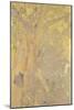 Décoration Domecy : arbres, fond jaune-Odilon Redon-Mounted Giclee Print