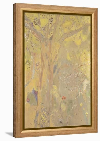 Décoration Domecy : arbres, fond jaune-Odilon Redon-Framed Premier Image Canvas