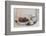 Decoration, White, Window Frame, Candles, Apple, Cone-Andrea Haase-Framed Photographic Print