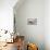 Decoration, White, Window Frame, Candles, Apple, Cone-Andrea Haase-Mounted Photographic Print displayed on a wall