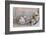 Decoration, White, Window Frames, 'Dream', Candles, Bowls, Mussels, Stones, Heart-Andrea Haase-Framed Photographic Print