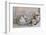 Decoration, White, Window Frames, 'Dream', Candles, Bowls, Mussels, Stones, Heart-Andrea Haase-Framed Photographic Print