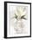 Decorative Botanical I-Aria K-Framed Art Print