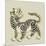 Decorative Cat - Wild-Kristine Hegre-Mounted Art Print