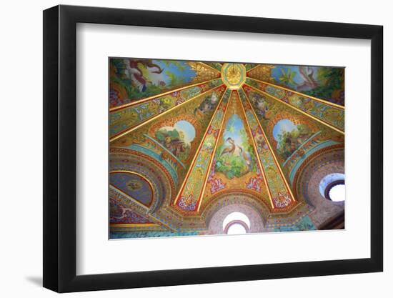 Decorative Ceilings in Bathing Pavilion-Neil Farrin-Framed Photographic Print