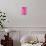 Decorative Coloured Lanterns Inside Joyesa Temple, Jongno-gu District, Seoul, South Korea-Gavin Hellier-Mounted Photographic Print displayed on a wall