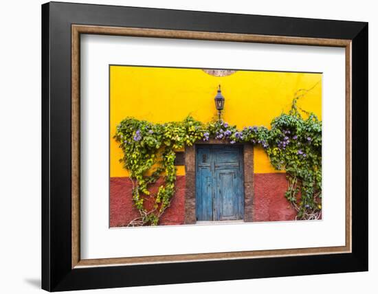 Decorative Doo on the Streets of San Miguel De Allende, Mexico-Chuck Haney-Framed Photographic Print