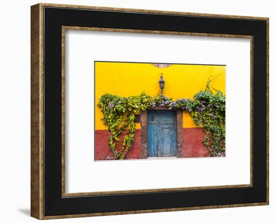 Decorative Doo on the Streets of San Miguel De Allende, Mexico-Chuck Haney-Framed Photographic Print