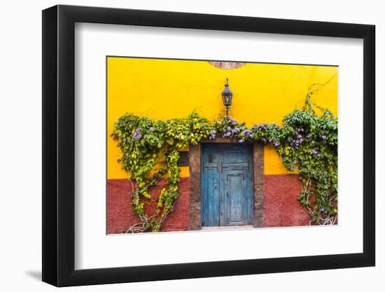 Decorative Doo on the Streets of San Miguel De Allende, Mexico-Chuck Haney-Framed Photographic Print