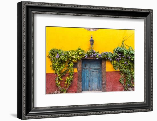 Decorative Doo on the Streets of San Miguel De Allende, Mexico-Chuck Haney-Framed Photographic Print