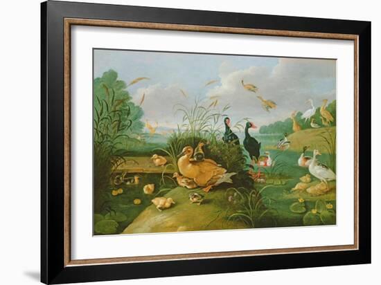 Decorative Fowl and Ducklings-Jan van Kessel the Elder-Framed Giclee Print