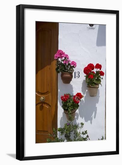 Decorative Geranium Flowers in Pots on the Walls-Natalie Tepper-Framed Photo