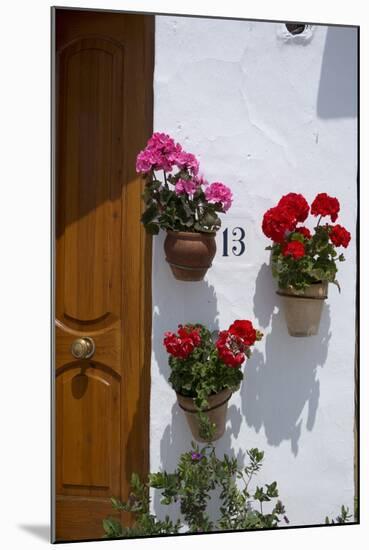 Decorative Geranium Flowers in Pots on the Walls-Natalie Tepper-Mounted Photo